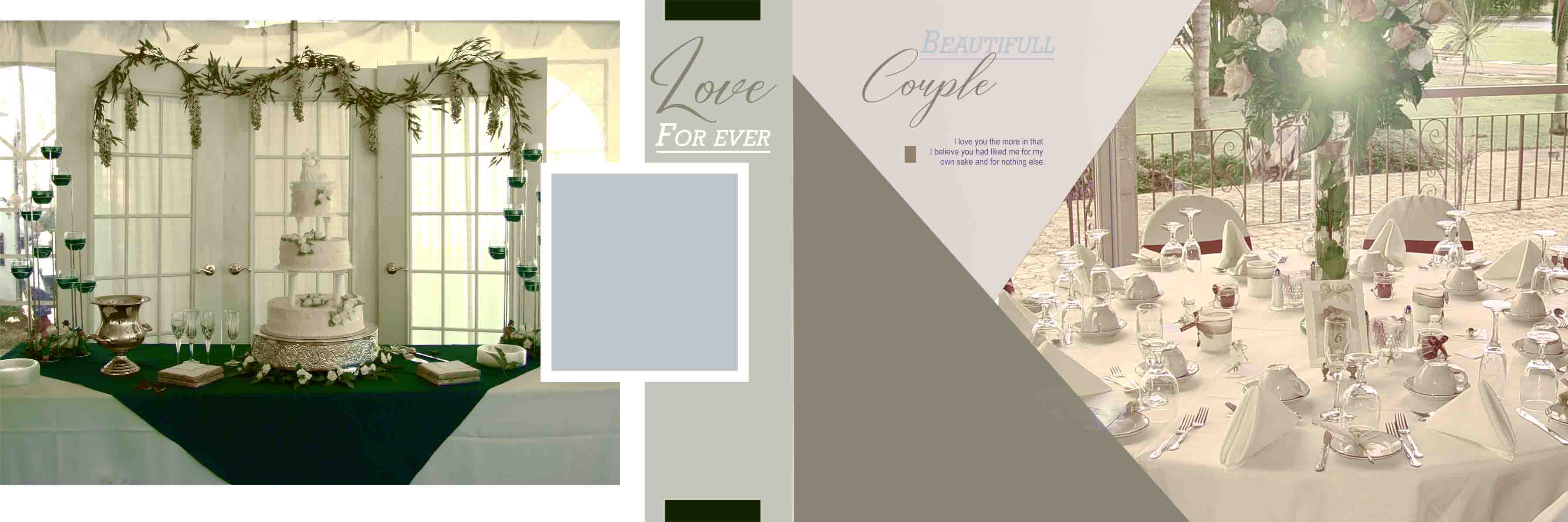 Wedding Album 12x18 PSD Background
